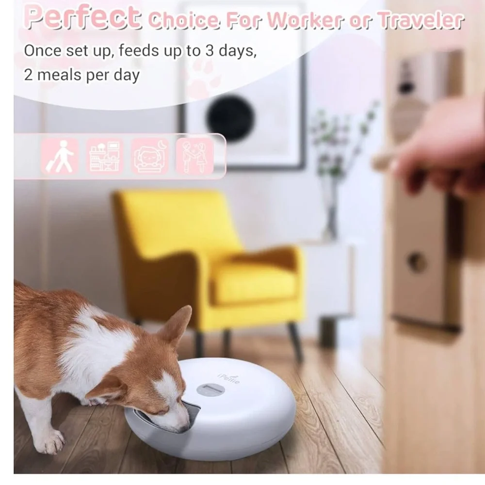 NIB! Ipettie 6 Meal Automatic Pet Feeder White